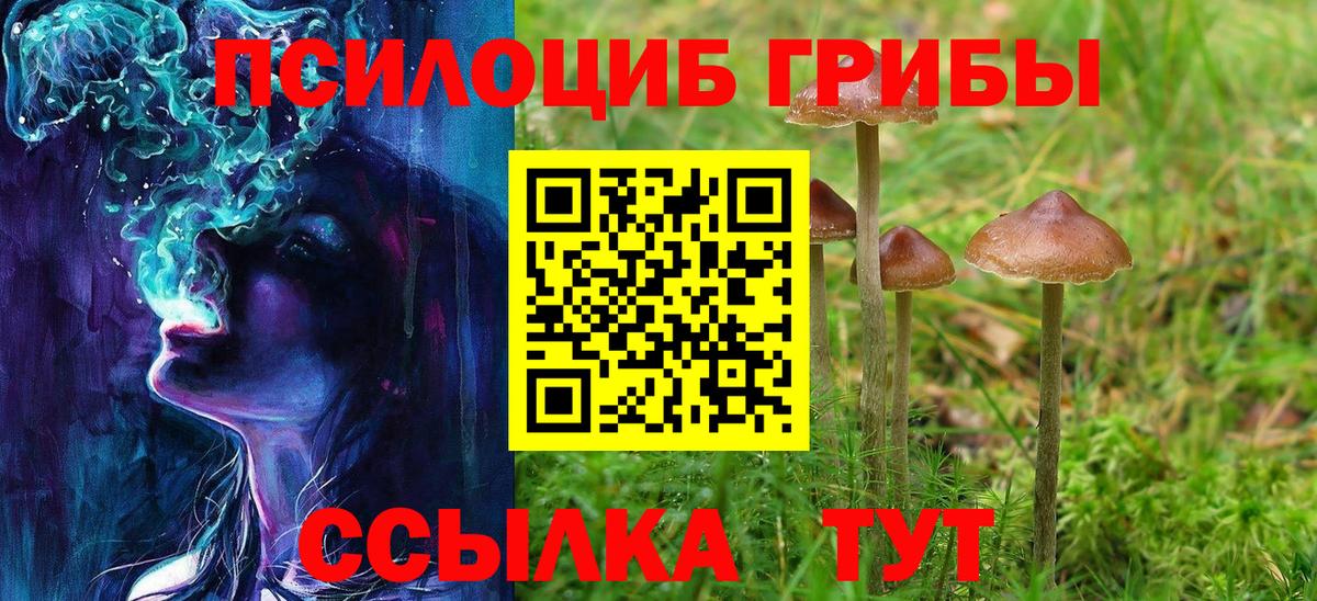 Псилоцибиновые грибы Psilocybine cubensis  Вход с VPN  Химки 